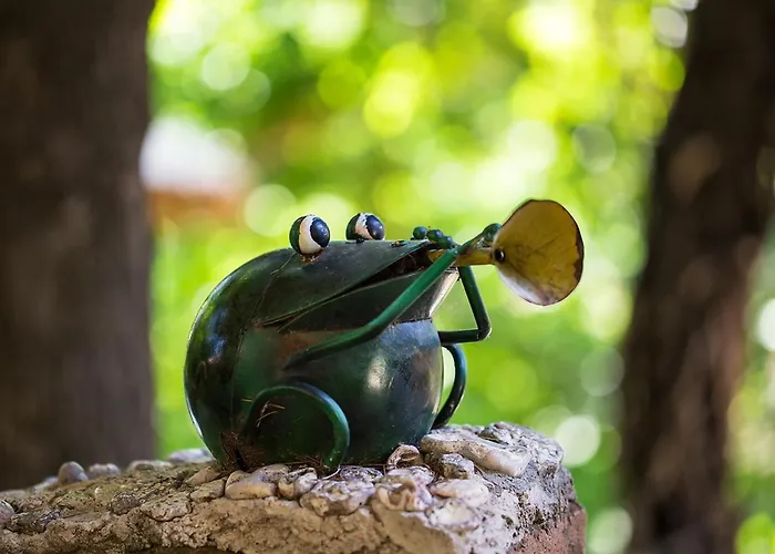 Stonehouse Guest house