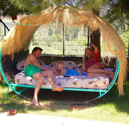 Stonehouse * Selçuk