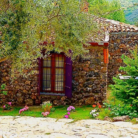 Stonehouse Maison d'hôtes *