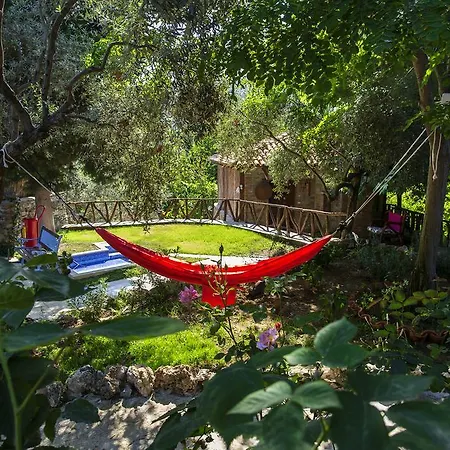 Stonehouse * Selçuk