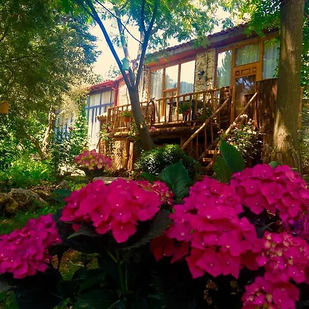 Stonehouse * Selçuk