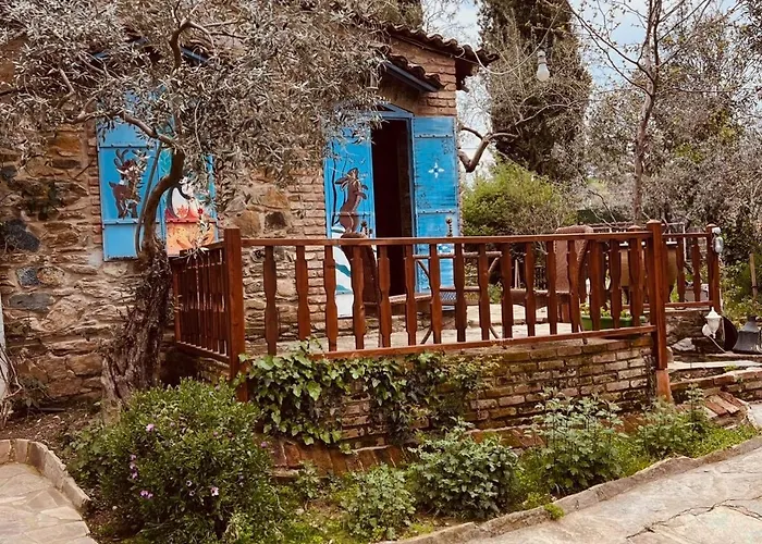 Stonehouse Selcuk