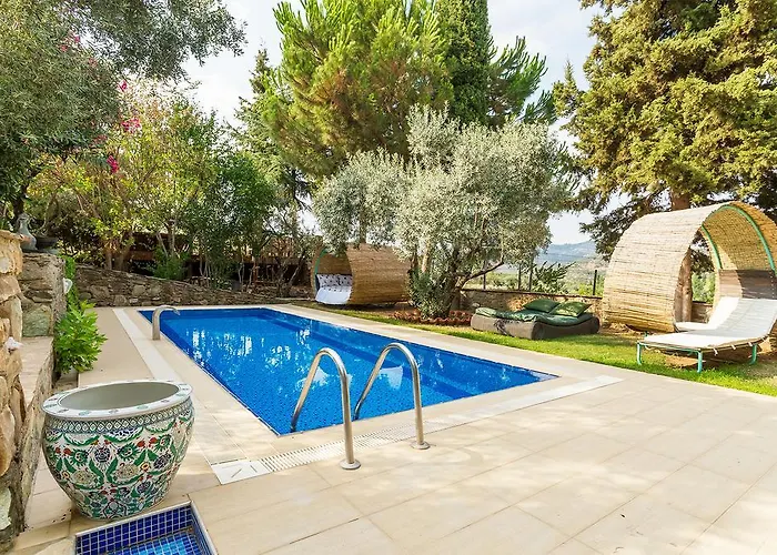 Stonehouse Selcuk